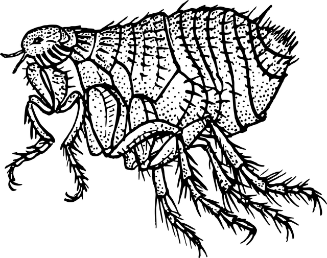 kreslená blecha